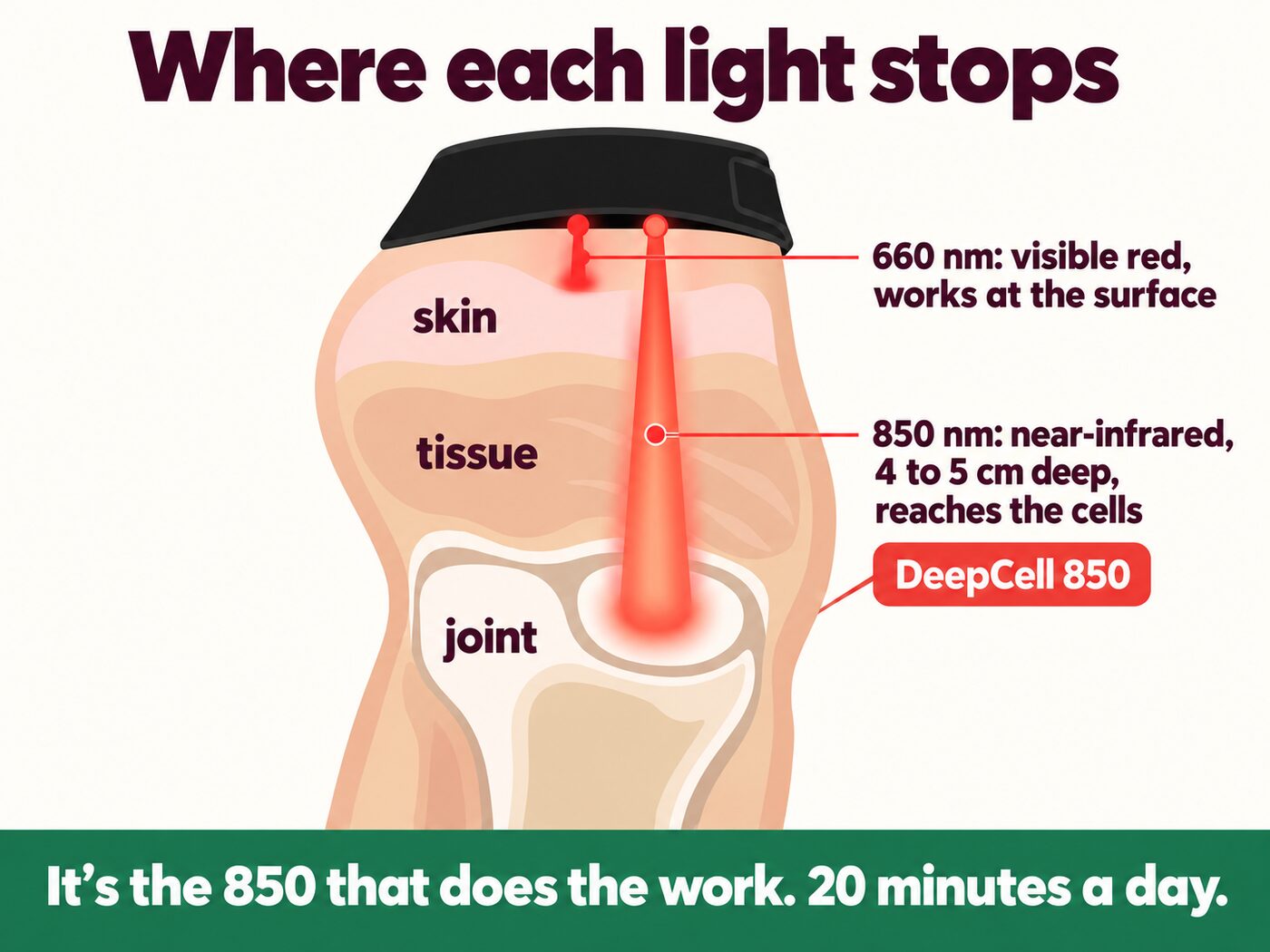 Diagram showing 660nm light at the skin and 850nm near-infrared light reaching 4 to 5cm into the joint